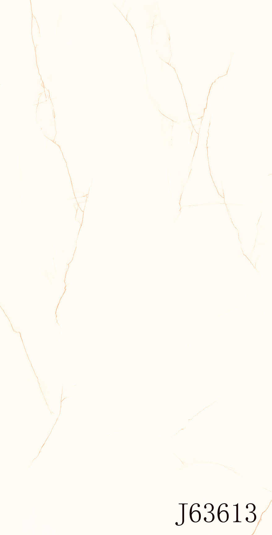 J63614