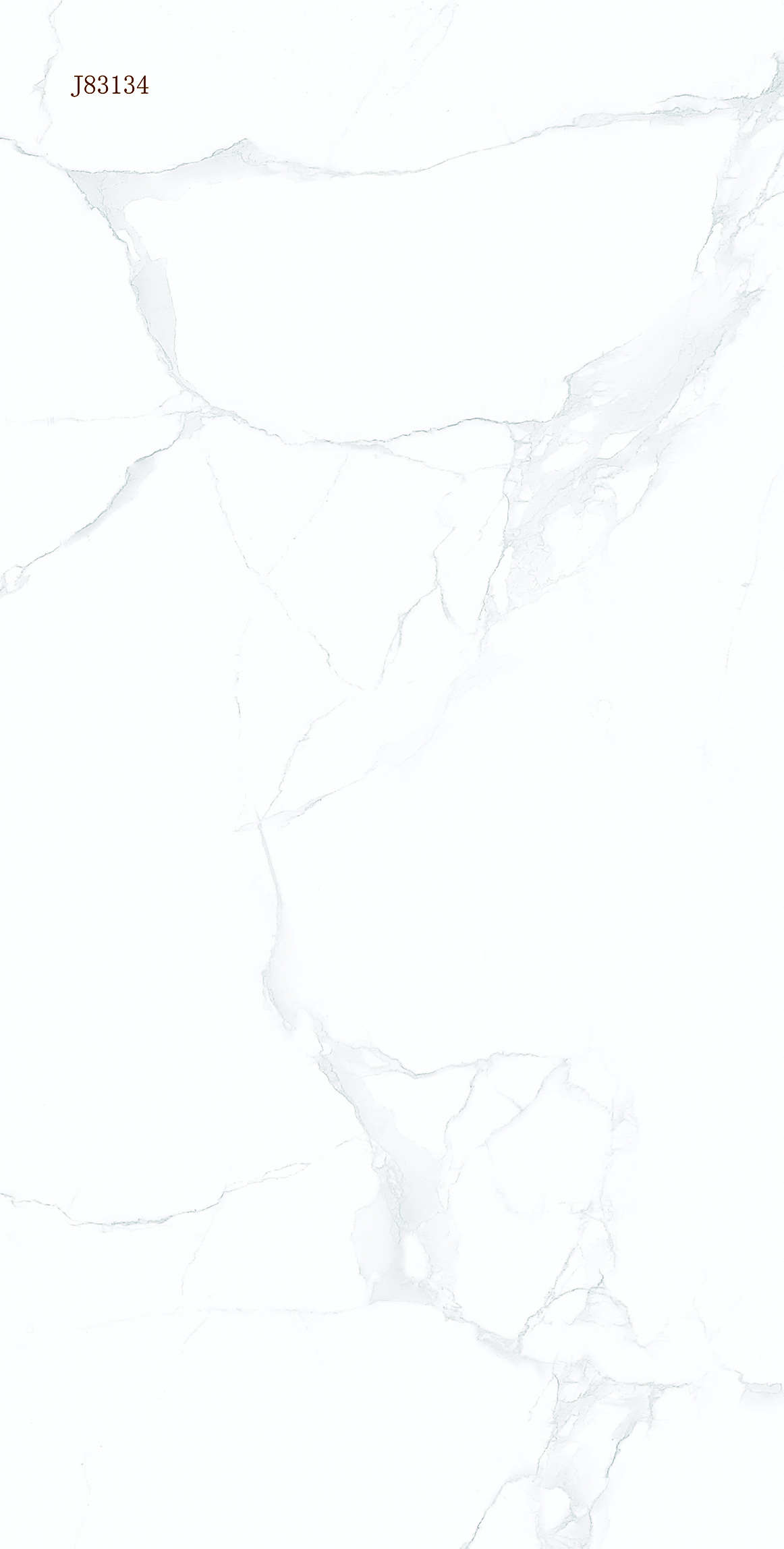 J83134