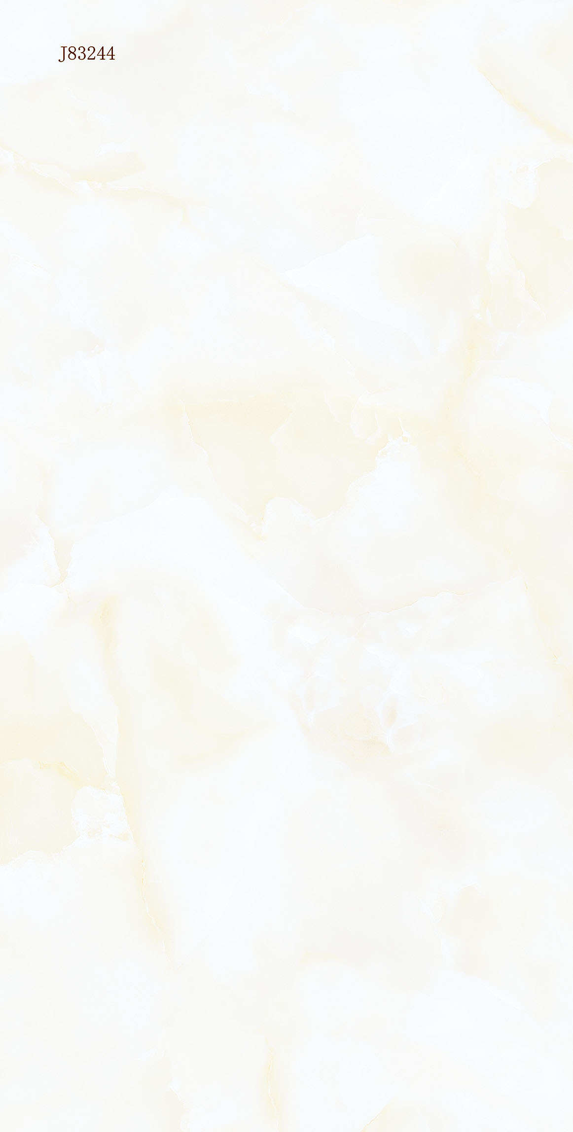 J83244