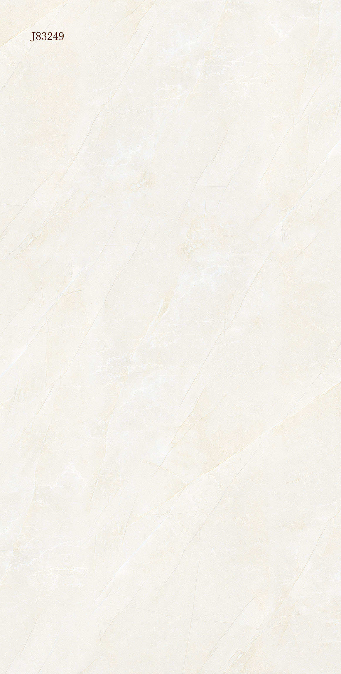 J83249