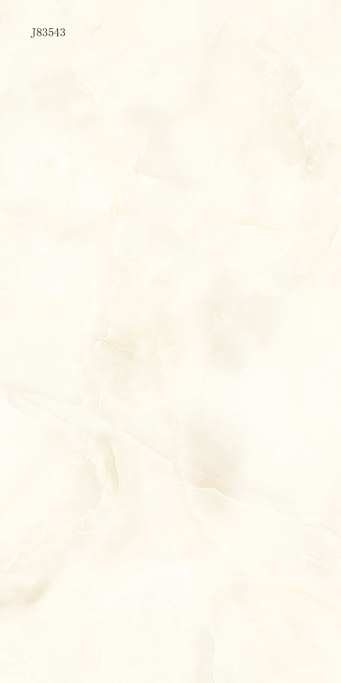 J83543