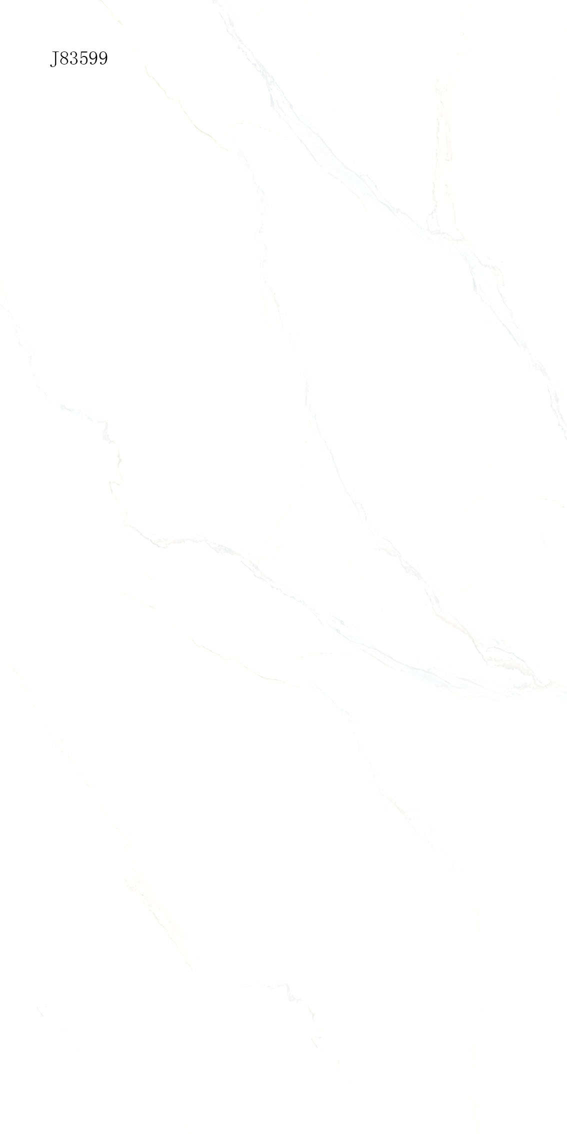 J83599
